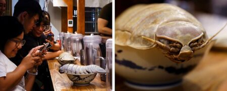 سرو خرخاکی های عظیم الجثه دریایی در رستورانی در تایوان و استقبال مردم + ویدئو