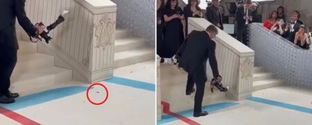 حضور سرزده یک سوسک بر روی فرش قرمز مراسم مت گالا! + ویدئو