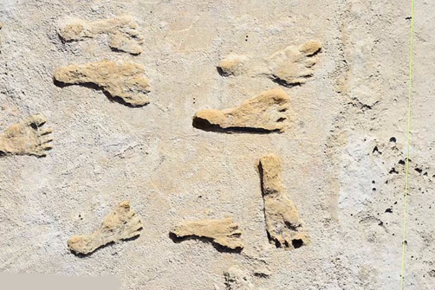 کشف قدیمی ترین رد پای انسان در آلمان + تصاویر