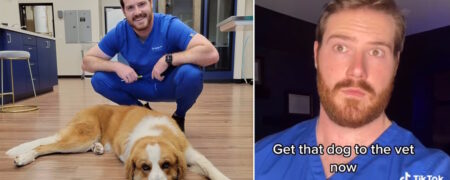 علائم هشداردهنده ای که نشان می‌دهد باید حیوان خانگی تان را فوراً به دامپزشکی ببرید