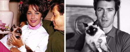 تصاویر دیده نشده و تماشایی از ستارگان عصر طلایی هالیوود به همراه گربه هایشان