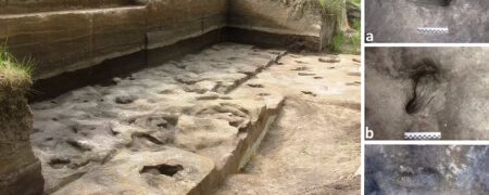 کشف قدیمی ترین رد پای انسان مربوط به  ۳۰۰,۰۰۰ سال پیش در آلمان + تصاویر