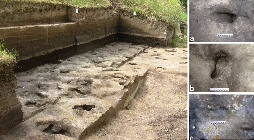 کشف قدیمی ترین رد پای انسان مربوط به  ۳۰۰,۰۰۰ سال پیش در آلمان + تصاویر