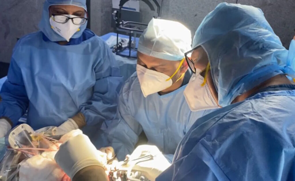 جزئیات انجام اولین عمل جراحی مغز یک جنین پیش از تولد