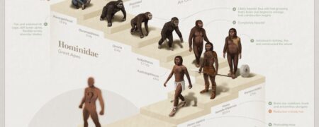 نگاهی به مسیر ۴ میلیارد ساله تکامل حیات انسان بر روی کره‌ی زمین + اینفوگرافیک