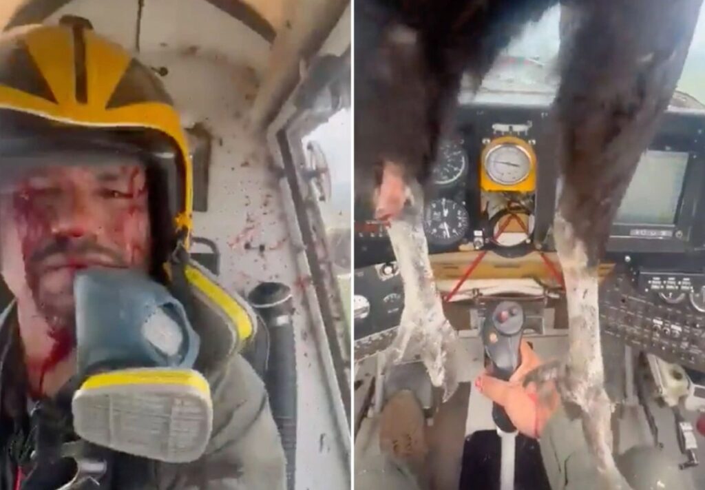 پاهای آویزان کرکس غول پیکر در کابین خلبان پس از برخورد مرگبار با هواپیما + ویدیو
