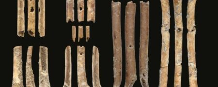 صدای فلوت‌های ۱۲,۰۰۰ ساله که برای فریب پرندگان هنگام شکار استفاده می شد را بشنوید