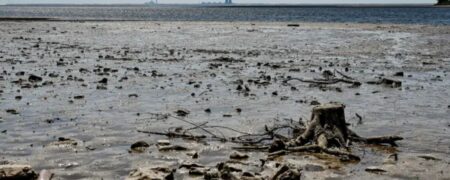 کشف سلاح های جنگ جهانی دوم پس از تخریب سد کاخوفکا و فروکش کردن سیل + ویدیو