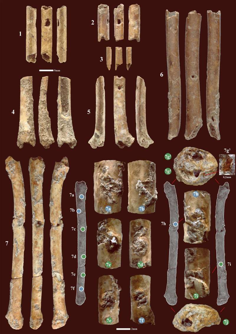 فلوت‌های 12,000 ساله که برای فریب پرندگان هنگام شکار استفاده می شد