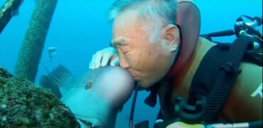 دوستیِ جالب و خاص یک مرد و یک ماهی غول پیکر به مدت ۳۰ سال + ویدیو