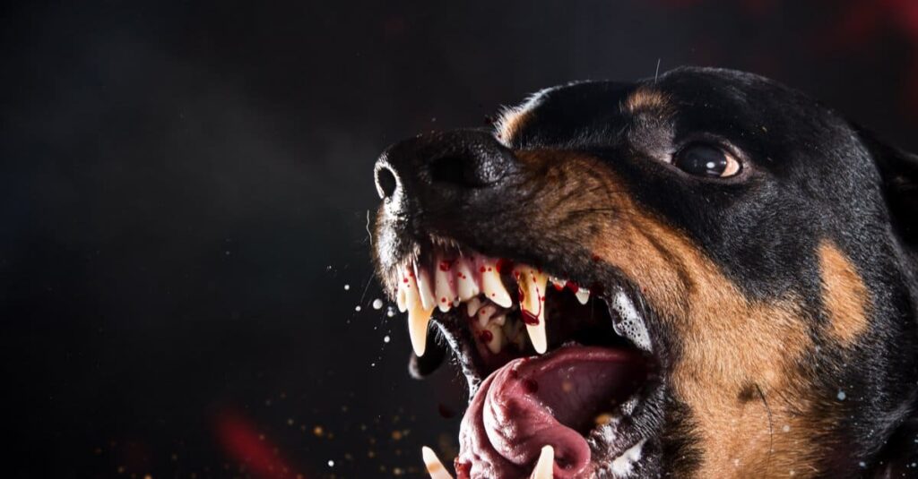 این ۱۳ نژاد سگ می‌توانند «سلطان جنگل» را بکشند