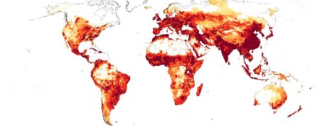 از اردک تا گاو؛ نقشه توزیع انواع دام ها در کشورهای مختلف جهان