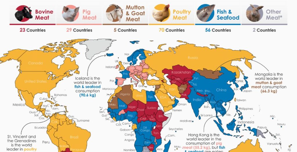 تفاوت کشورها در میزان مصرف گوشت و انواع آن چیست؟ + اینفوگرافیک