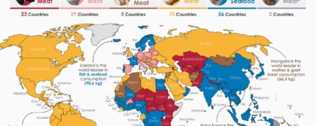 تفاوت کشورها در میزان مصرف گوشت و انواع آن چیست؟ + اینفوگرافیک