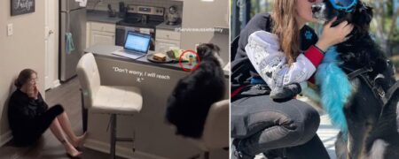 سگ قهرمان جان صاحب ۲۴ ساله‌اش با یک بیماری نادر را نجات می دهد + ویدیو