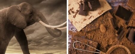 ۱۶ باور اشتباه که از کودکی با ما هستند و وقت کنار گذاشتن آن ها رسیده است