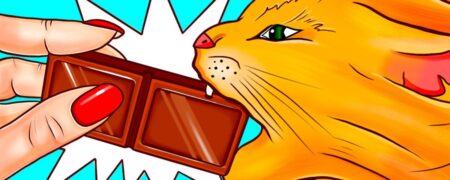 کدام خوراکی ها را نباید به گربه ها و سگ ها داد؟