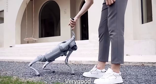 حیوان خانگی آینده؛ سگ رباتیکی که حرف می‌زند و از شما عکس می‌گیرد + ویدئو