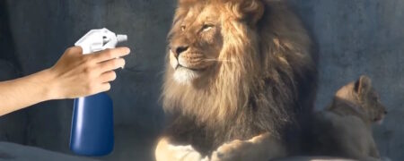 ۴ حیوانی که اصلاً انتظار ندارید از این چیزهای عجیب بترسند