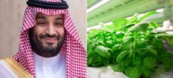 عربستان در تلاش برای ایجاد آب و هوای مصنوعی و رشد محصولات کشاورزی در بیابان