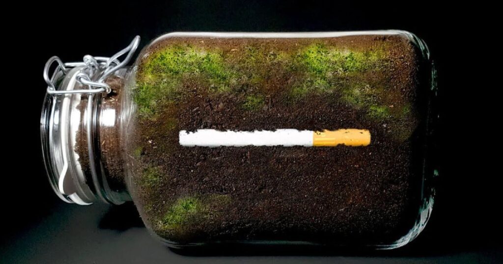 تایم لپس جالب از روند تجزیه سیگار در خاک در طول یک سال + ویدیو