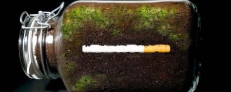 تایم لپس جالب از روند تجزیه سیگار در خاک در طول یک سال + ویدیو