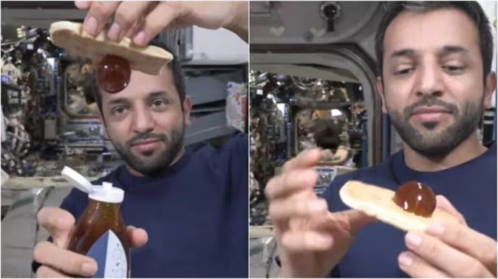 فضانورد اماراتی نشان می دهد که عسل در فضا چه شکلی می شود + ویدیو