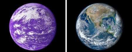 ۱۳ حقیقت خواندنی درباره شگفتی های کره زمین که شاید نمی دانستید