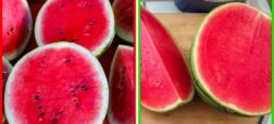 ترفندهای تشخیص هندوانه خوب و سالم برای جلوگیری از مسمومیت
