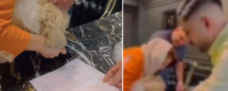 عذرخواهی زوج ایرانی که یک خانه ۵ میلیاردی به نام سگ خود زده بودند + ویدئو