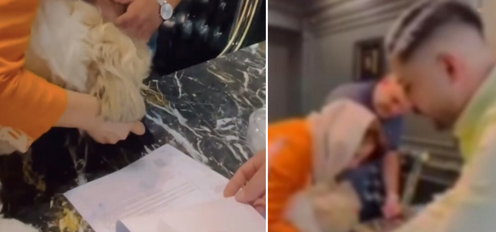 عذرخواهی زوج ایرانی که یک خانه ۵ میلیاردی به نام سگ خود زده بودند + ویدئو
