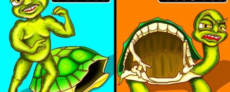 باورهای رایج اما نادرست درباره حیوانات که شاید شما هم به آن ها اعتقاد داشته باشید