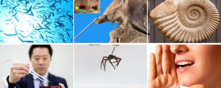 عجیب ترین تحقیقات سال ۲۰۲۳؛ از خوردن فسیل تا شمارش موهای سوراخ بینی + ویدیو