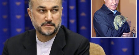 روایت حسین امیرعبداللهیان از تحریم ها علیه روسیه و تاثیر آن بر گربه های این کشور