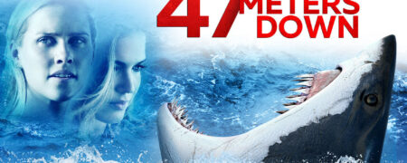 ۱۱ فیلم ترسناک برای کسانی که به این ژانر علاقه ندارند؛ از The Boy تا The Babadook