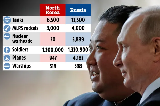 رهبران روسیه و کره شمالی از هم چه می خواهند؟ مقایسه توان نظامی دو کشور