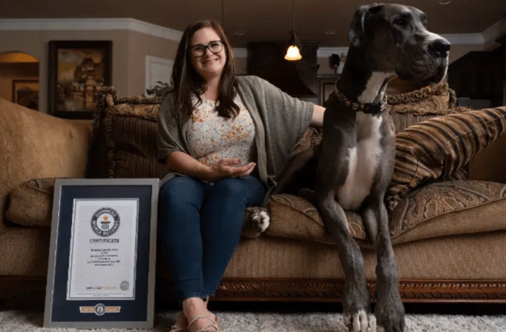 مرگ بلندقدترین سگ جهان بر اثر سرطان