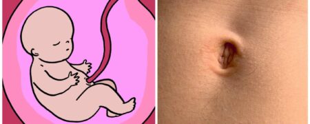 ۱۵ حقیقت جالب و خواندنی درباره ناف که نمی دانستید