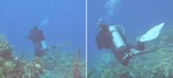 لحظه وحشت غواصان از صدای سونار زیردریایی‌ آمریکایی