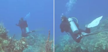 لحظه وحشت غواصان از صدای امواج صوتی ردیابی زیردریایی‌ آمریکایی + ویدیو
