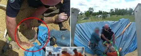 لحظات نفسگیر نجات کشاورز استرالیایی که داخل سیلوی غلات مدفون شده بود + ویدیو