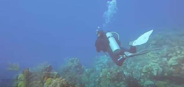 لحظه وحشت غواصان از صدای سونار زیردریایی‌ آمریکایی