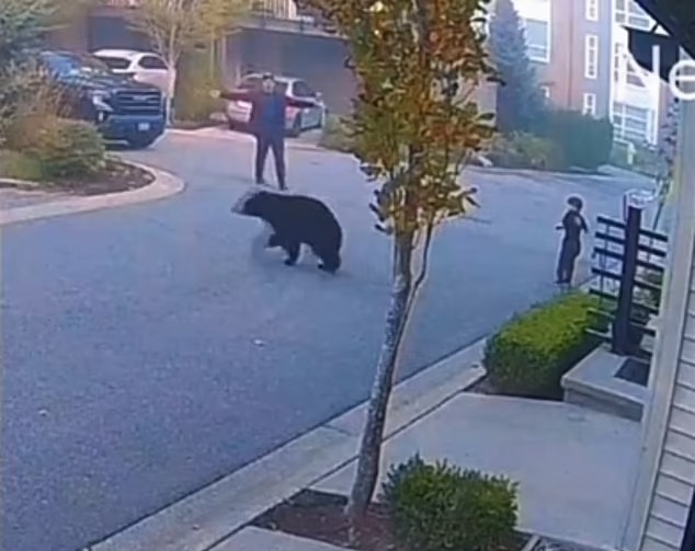 شجاعت یک کودک و هوشیاری یک مرد غریبه خرس سیاه وحشی را فراری داد