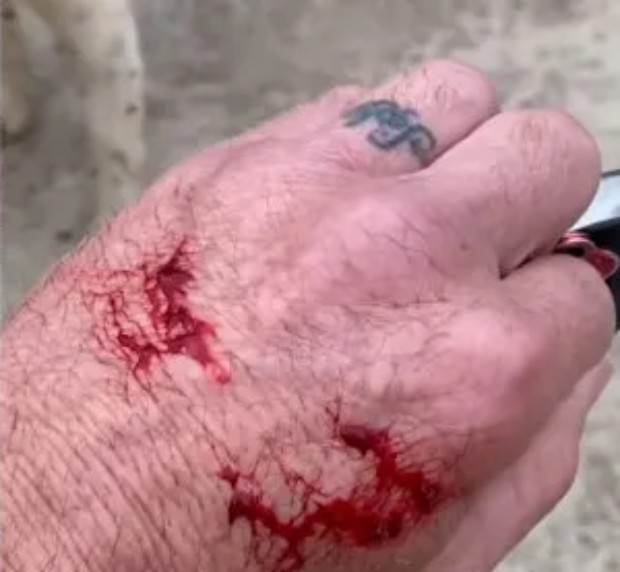 لحظه‌ی حمله کانگورو به مردی که سعی داشت سگش را از دست آن نجات دهد