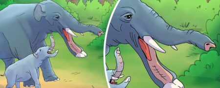 ۸ موجود عجیب الخلقه که پیش از انسان روی کره زمین زندگی می کردند