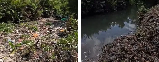 تایم‌لپس خیره‌کننده از پاکسازی رودخانه‌های پر از زباله در اندونزی