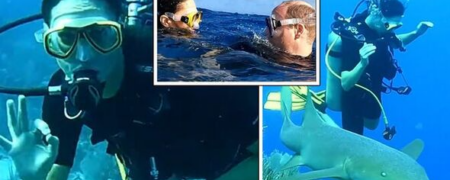 غواصی شاهزاده ویلیام و کیت میدلتون برای کاشت مرجان در باهاما + ویدیو