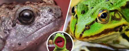 ۱۰ حقیقت شگفت انگیز درباره طبیعت که حتماً نشنیده اید