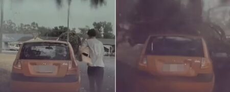 نجات معجزه‌آسای مردی هنگام برخورد صاعقه‌ با درخت کنار خودروی پارک شده او + ویدیو