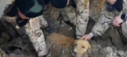 لحظه‌ی نجات سگی که بیش از ۳۰ ساعت در زلزله چین زیر آوار مانده بود + ویدیو